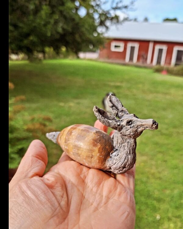 Wüstenschnecke